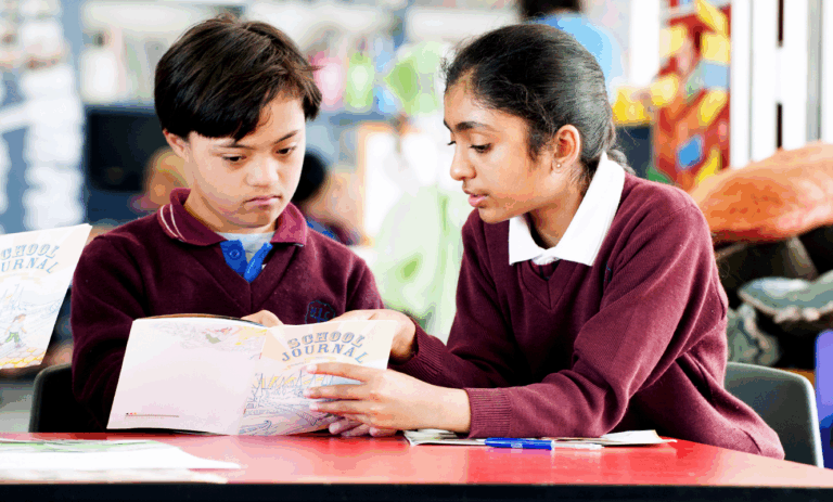Promoting Inclusion in Schools for Down Syndrome Students